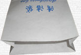 air plane paper bag